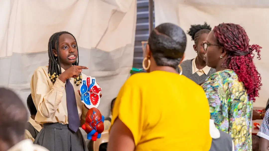 Explaining the heart