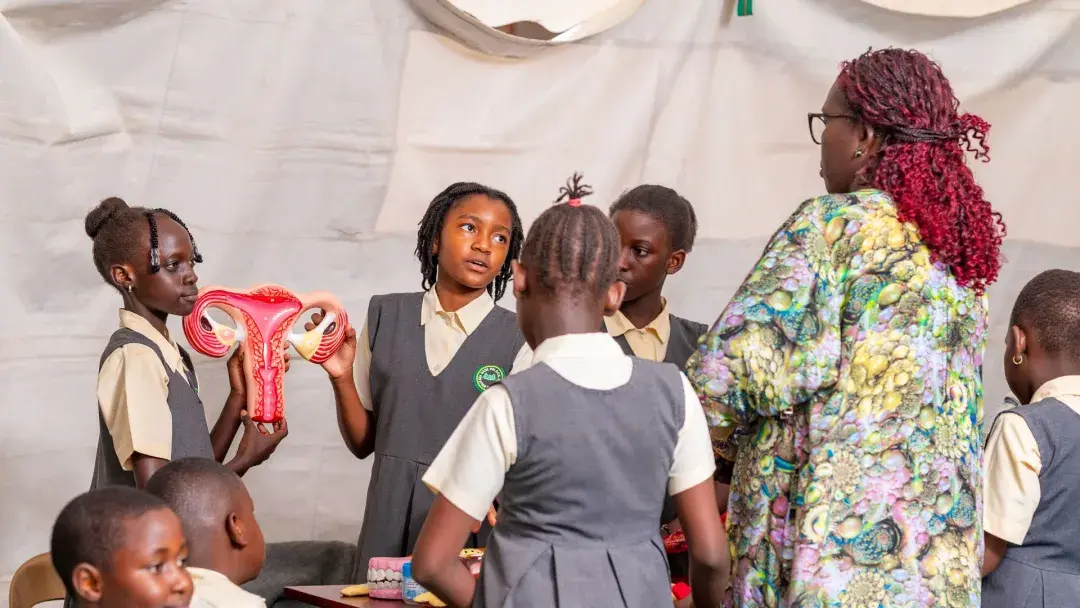 Female reproductive organ explained