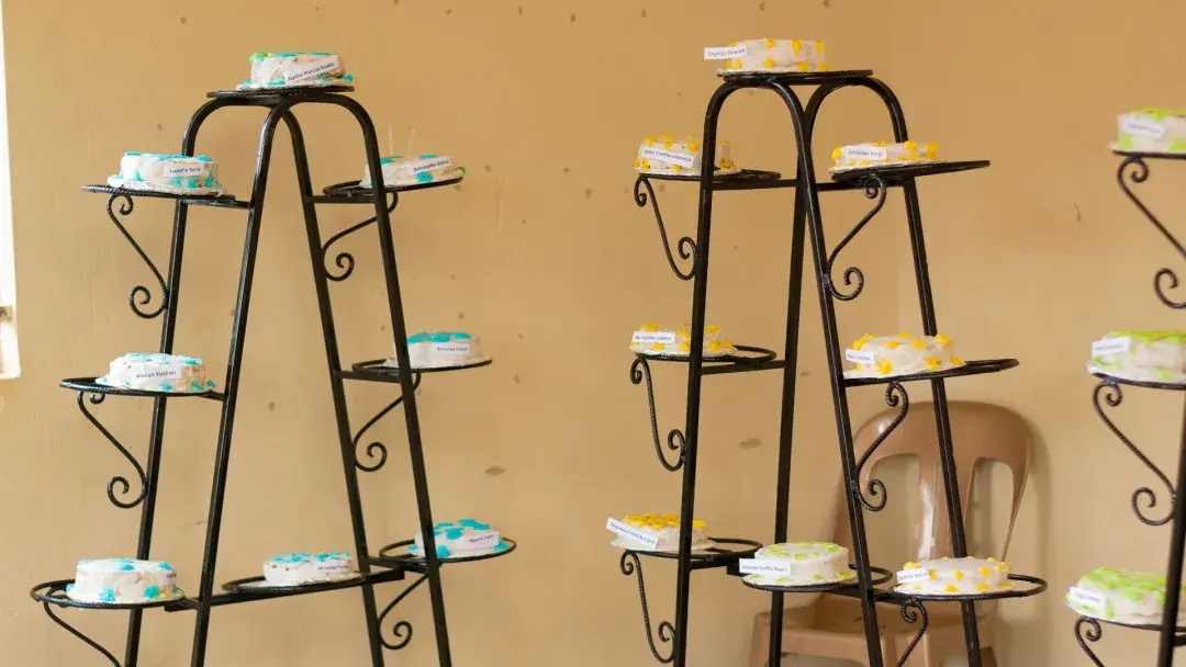 Tasty cakes by Home Economics club