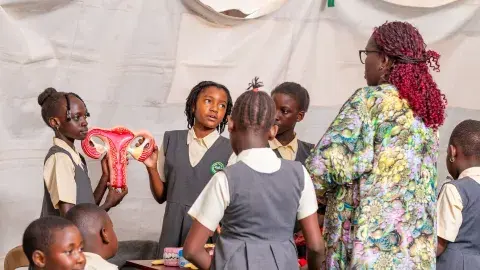 Female reproductive organ explained