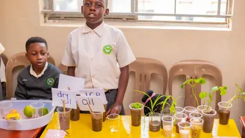 Jeremiah, P.3 experiment