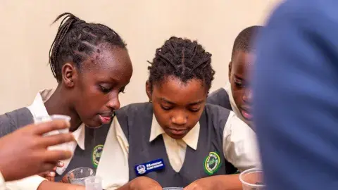 P.5 Science experiment