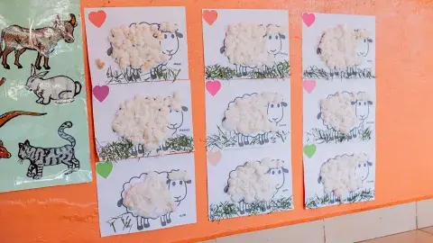 Sheep pasting, Baby C