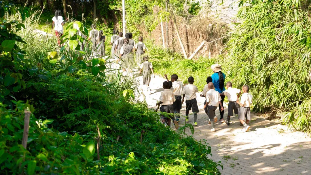 Nature walk