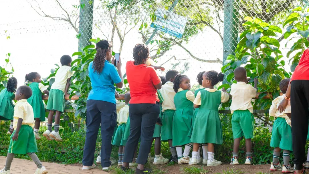 Nursery section