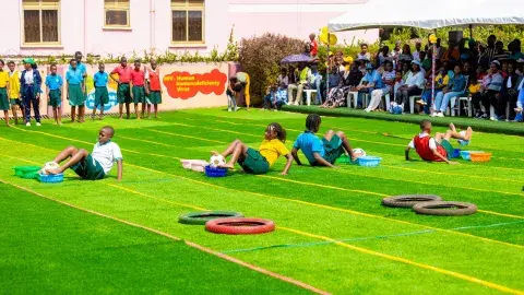 Tyre and ball race